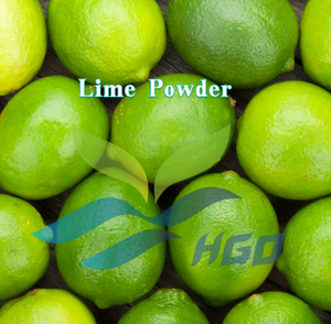Approvisionnement direct d'usine HGO de poudre de citron vert naturelle pure (qualité alimentaire) spécification poudre de fruits (poudre de fruits ou de légumes) - Product Image 2