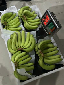 Exportación estándar plátano fresco Vietnam origen dulce sabor piel limpia buena capacidad de almacenamiento - Product Image 6