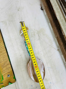 Turbo Shell Handle 26cm Cubiertos Tallado a mano Madre de perla Cuchara de cocina para el hogar Cocina Fiesta Restaurante Uso - Product Image 3