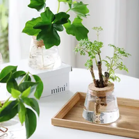 Vente en gros de pots en verre pour terrarium avec couvercle en liège, décoration d'intérieur, cadeau de jardin, kit de propagation de plantes pour pots de fleurs et jardinières