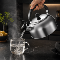 Bouilloire sifflante en acier inoxydable 2-5L, théière à fond plat, compatible camping-gaz, vente en gros usine