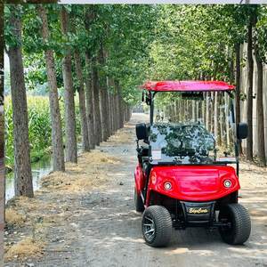 6-Seater Electric <b>Golf</b> <b>Cart</b> - Product Image 2