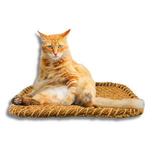 เสื่อปาล์มเสื่อมะพร้าวเสื่อสำหรับสัตว์เลี้ยงเป็นมิตรกับสิ่งแวดล้อมจากเวียดนาม: สบายในราคาโรงงาน - Product Image 1