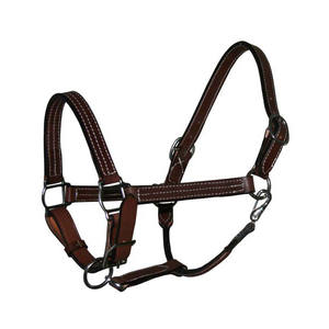 Ewest-eath op-uality, ORSE urable iding ququestrian ququine ororse alalters uustomize oogo EEAD ollar - Product Image 2