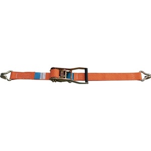 สายรัด DIN EN 12195-2 ขนาด 8 ม. x 50 มม. พร้อมตัวรัดและตะขอแหลม LC U 5000 DaN DOLEZYCH - Product Image 1