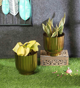 Maceta Golder de Metal hecha a mano más vendida para la decoración de la sala de estar de la boda del hogar - Product Image 2