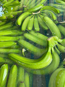 High-Grade <b>Fresh</b> Cavendish <b>Banana</b> & <b>Fresh</b> <b>Banana</b> Vietnam Export Bulk Quantities Premium Tropical Fruit at Competitive Rates Now - Product Image 6