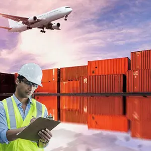 20GP FBA Neue Konsolidierung Container Qualitätskontrolle vor Versand Serviceproben Abholung Inspektion Tür-zu-Tür Qualitätskontrolle