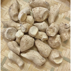 Tallos de hongos shiitake orgánicos Cuidado inmunológico a base de plantas Seco y puro Empaquetado a granel - Product Image 6