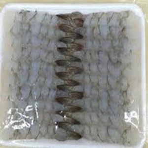 Crevettes Vannamei surgelées de qualité supérieure en boîte à des prix compétitifs - Product Image 3