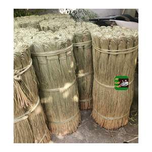 Selected Seagrass <b>Fiber</b> Raw Material for Weaving Storage Baskets Decorative Rugs and Sustainable Handmade Craft Manufacturing - Product Image 4