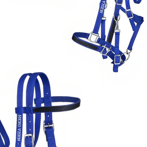 Équipement d'équitation de qualité supérieure, licou/bride de taille de cheval en nylon bleu Combo cheval tack équine, bride de cheval Tack de cheval - Product Image 4