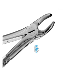 Fórceps de extracción de acero inoxidable de alta calidad MEAD ( MD 2) molares superiores exportadores y fabricante - Product Image 6