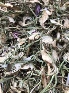 Flor de alcachofa seca de Vietnam para bebidas de bienvenida en hostelería y servicios de catering aéreo - Product Image 2