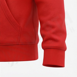 Sweat-shirts à capuche surdimensionnés légers de haute qualité pour hommes, best-sellers de l'hiver, brodés, à manches longues, couleur personnalisée - Product Image 6