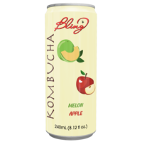 Jus de Kombucha Naturel Aromatisé en Gros Pastèque Menthe Prêt à Boire 240ml/320ml Purée ODM OEM Marque Privée Emballage en Boîte