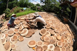 Paneles de madera redondos decorativos de ALTA CALIDAD | Rodajas de pino ecológicas para mesas de bricolaje y obras de arte-BLUE LOTUS VIETNAM - Product Image 2
