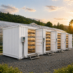 Serre conteneurisée pour la culture de champignons, système de culture automatique, fournisseur d'équipements d'agriculture intelligente - Product Image 4