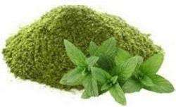 ผงสมุนไพรธรรมชาติ pudina มิ้นท์สกัดจากสมุนไพร - Product Image 2