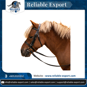 Nouvelle Arrivée Dernière Conception Cheval Formation Rênes De Marche Au Meilleur Qualité De Fabrication Indienne Aussi Bride En Cuir ou PVC - Product Image 6