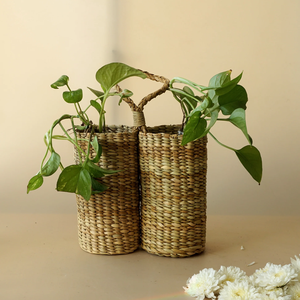 Un ensemble de deux grandes jardinières d'herbe moonj avec une poignée tressée pratique pour un transport facile, disponibles au prix de gros. - Product Image 1