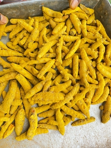 Cúrcuma de Alta Calidad Sangli, Doble Pulido, Especias y Hierbas Individuales, Producto Premium Rico en Curcumina, Raíz Dorada - Product Image 3