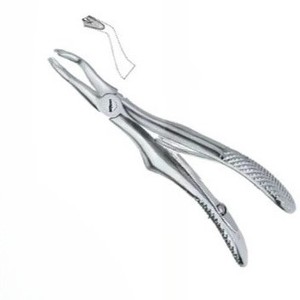 Produits de logo personnalisé de haute qualité Pinces d'extraction de dents dentaires Fig.3 Instruments dentaires en acier inoxydable - Product Image 5