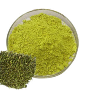 คุณภาพสูง! Flos Sophora japonica Vietnam - Product Image 2