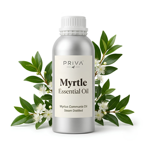 Aceite Esencial de Mirtol Orgánico a Granel, Myrtus Communis, Ecocert, Marruecos, Venta al por Mayor, Calmante Respiratorio, Grado Cosmético - Product Image 1