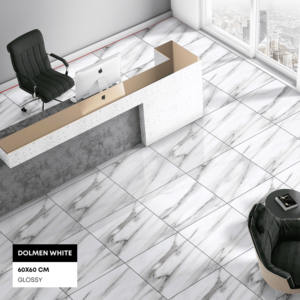 Vente en gros de carreaux de sol en céramique au design moderne imprimés pour les salles de réunion écoles haute qualité 9mm d'épaisseur garantie 5 ans Stock Inde - Product Image 4