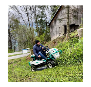 Cortacésped de conejo Rm982F asequible a la venta Fácil operación Alta eficiencia Adecuado para corte de césped de gran área - Product Image 6