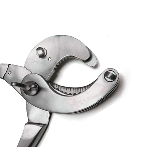 Oferta Especial: Emasculador con Trinquete de 35.5cm, Acero Inoxidable de Alta Calidad, Instrumentos Veterinarios para Caballos - Product Image 5