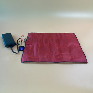 Custom OEM Large-Size 5V12V Carbon Fiber <b>Heating</b> Pad with <b>USB</b> Type-C Port for Food insulated box Cushion Blanket - Product Image 2