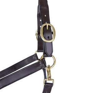 Premier Leather Rope Control Halter Horses Ply Premium Leather Halter Rope Puntos de presión Superior Horse Training Handling - Product Image 6