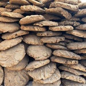 Incienso en Espiral de Madera, 100% Natural, Orgánico, Libre de Químicos, Ecológico, para Uso Religioso en Todas las Estaciones, para Pooja, Havan y Agricultura - Product Image 2