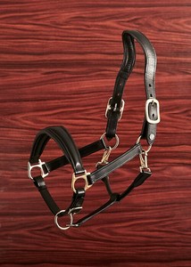 Halter en cuir avec rembourrage noir avec quincaillerie en laiton - Product Image 6