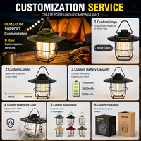 Lampe de tente suspendue portable, étanche IP44, rechargeable DC 60V, LED CRI 90, dimmable, style rétro, pour camping, randonnée, pêche