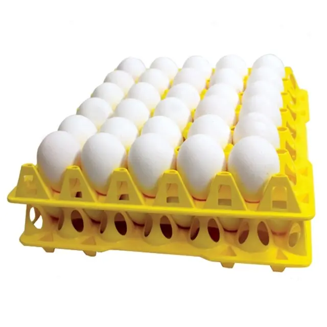 En ucuz fiyat tedarikçisi toplu beyaz/kahverengi kabuk taze masa tavuk yumurtası ile hızlı teslimat