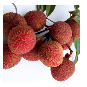 Vải Thiều đông lạnh cao cấp iqf Việt Nam sẵn sàng để ăn mà không thêm đường lý tưởng cho món tráng miệng nướng trà hoặc nhà hàng - Product Image 2