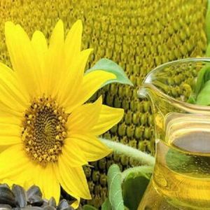 Aceite de Girasol Refinado de Uso Industrial para Operaciones de Cocina a Gran Escala, Resultados Consistentes para Fábricas de Alimentos, Aceites Vegetales - Product Image 1