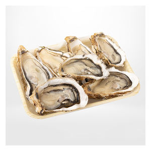 Huîtres kaki de ferme de qualité supérieure avec coquille, prêtes pour le commerce en gros fiable - Product Image 6
