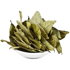 ใบ soursop, ใบ annona muricata แห้ง, ใบ guanabana, จัดส่งฟรี, จำนวนใบที่เลือก - Product Image 6