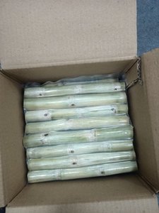 CANNE À SUCRE LONGUE CONGELÉE AVEC LE MEILLEUR PRIX ÉCHANTILLON GRATUIT MEILLEUR VENDEUR AKINA - Product Image 5