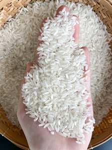 ข้าวขาวเมล็ดยาวคุณภาพสูง 5% ข้าวแตก/ ข้าวขาว 504 / ข้าว OM50404 จากเวียดนาม/WA 84-985971368 - Product Image 4