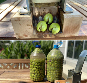 Machine à écraser les olives manuelle - Outil professionnel pour dénoyauter les olives et briseur d'olives pour usage domestique pour les olives vertes et noires - Product Image 2