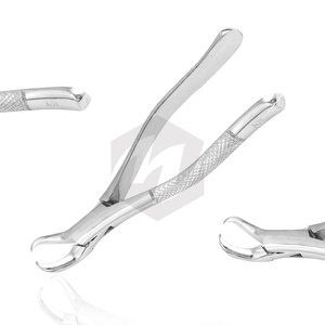 Fórceps 23 Cuerno de vaca Raíz molar inferior Dientes Extracción dental Instrumentos médicos Herramientas quirúrgicas dentales A + Grado Premium - Product Image 1