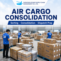 Agente de Transporte Aéreo+Express de China a Arabia Saudita, Transitario de Carga Aérea DDP, Servicio de Entrega Puerta a Puerta