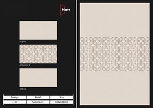 Fabricante directo India 300x600mmAzulejos de pared digitales esmaltados de cerámica mate Alta calidad Nuevo diseño moderno Villas Sólido - Product Image 5