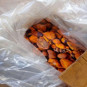 Proveedor de cálculos biliares de vaca búfalo de ganado al por mayor de calidad superior Cálculos biliares enteros y rotos amarillos naturales genuinos en stock - Product Image 2