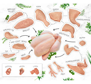 Viande de poulet halal surgelée en vrac, sans peau, qualité supérieure, certifiée halal, qualité d'exportation, approvisionnement sain - Product Image 2